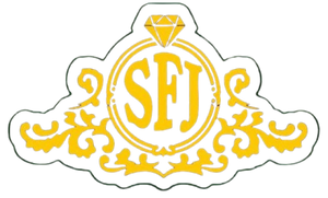 Shaheen Fancy Jewellery 